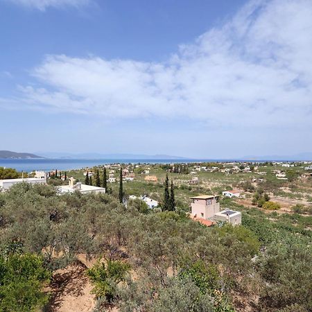 Katinaki'S View Apartment Τζίκηδες Εξωτερικό φωτογραφία